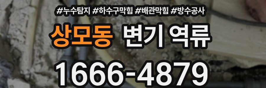 상모동 변기 역류