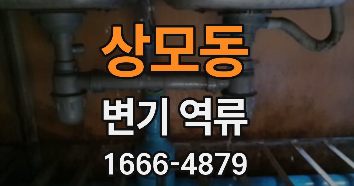 상모동 변기 역류