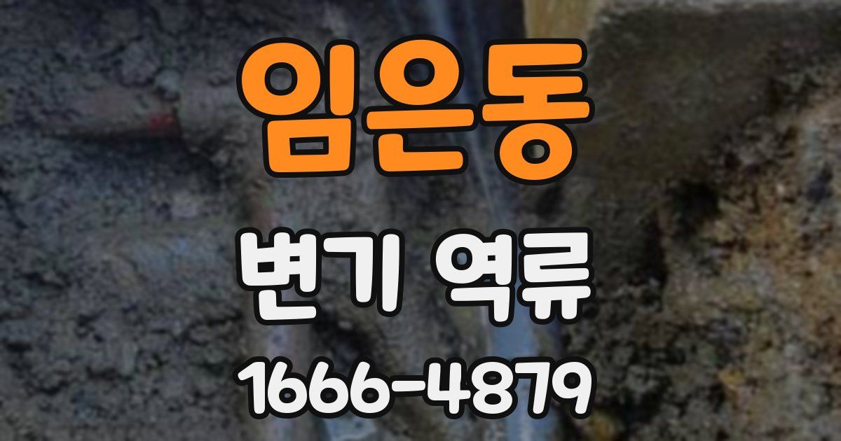 임은동 변기 역류