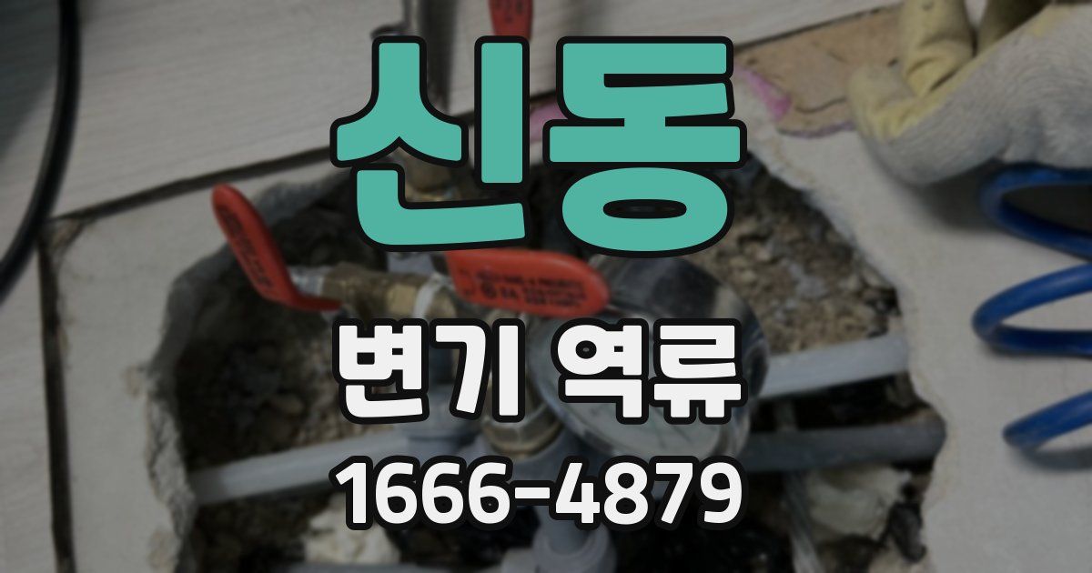 신동 변기 역류