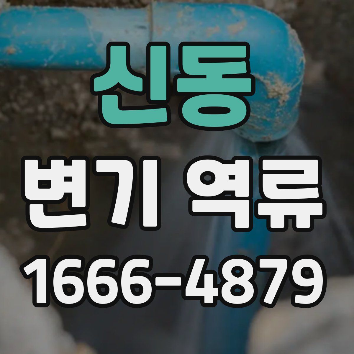 신동 변기 역류