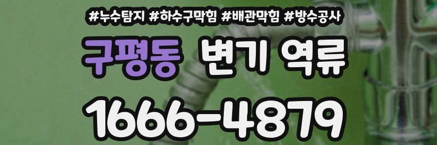 구평동 변기 역류