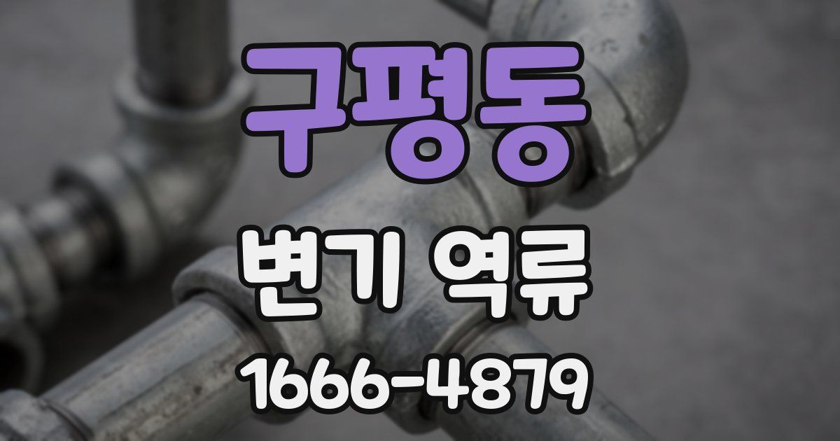 구평동 변기 역류