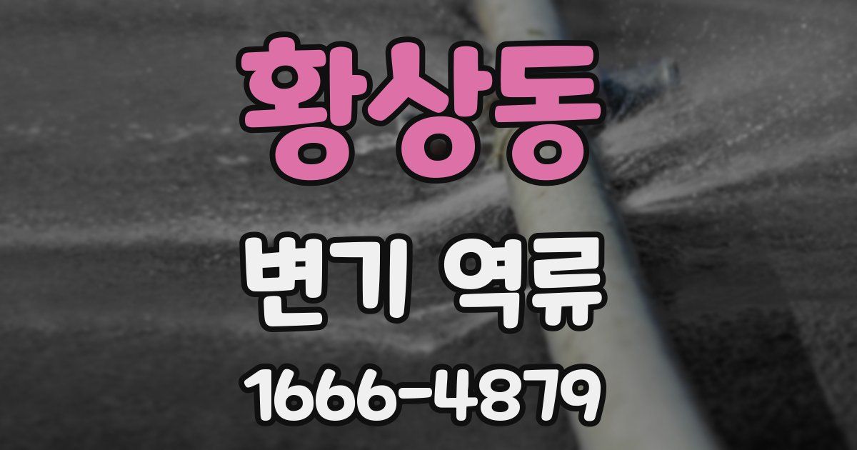 황상동 변기 역류