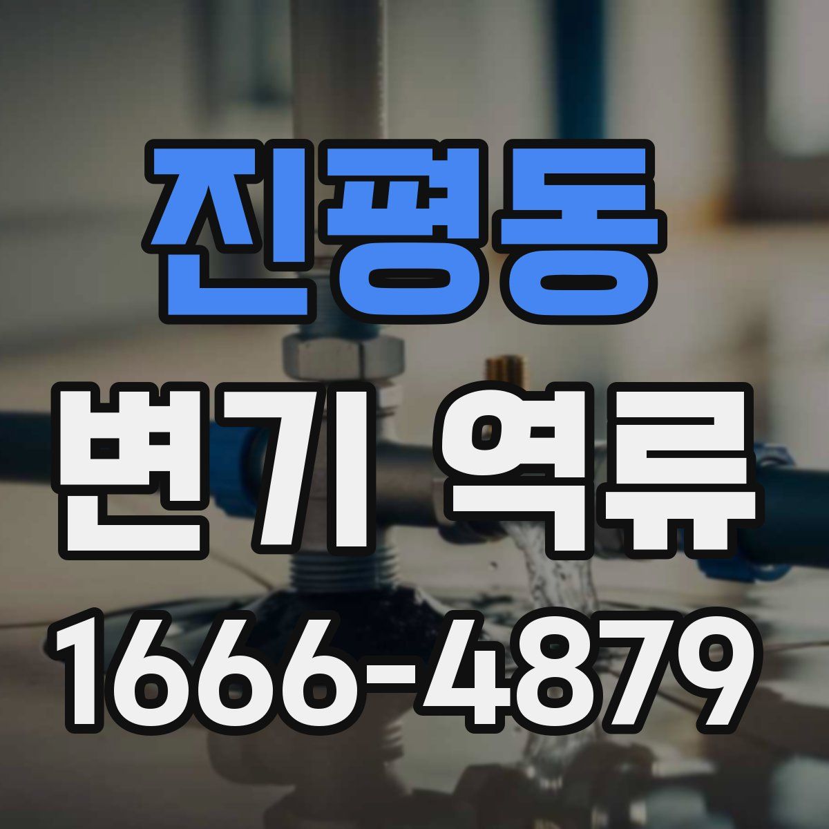 진평동 변기 역류