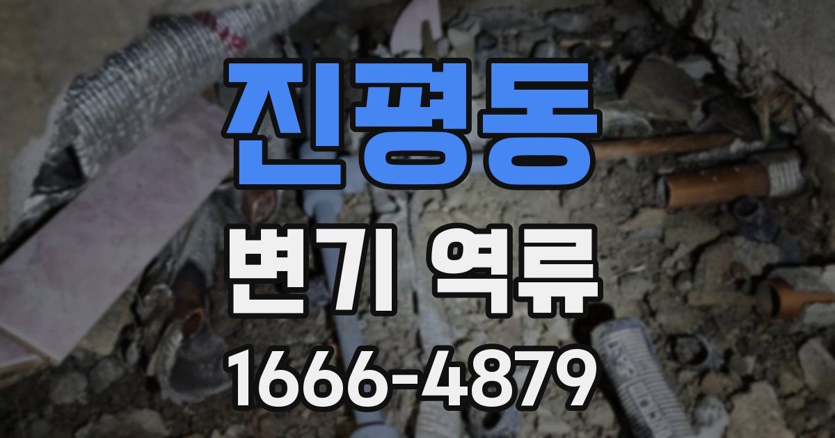 진평동 변기 역류