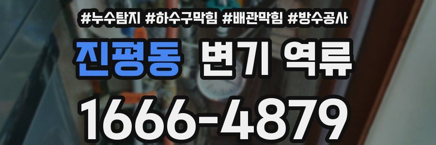 진평동 변기 역류