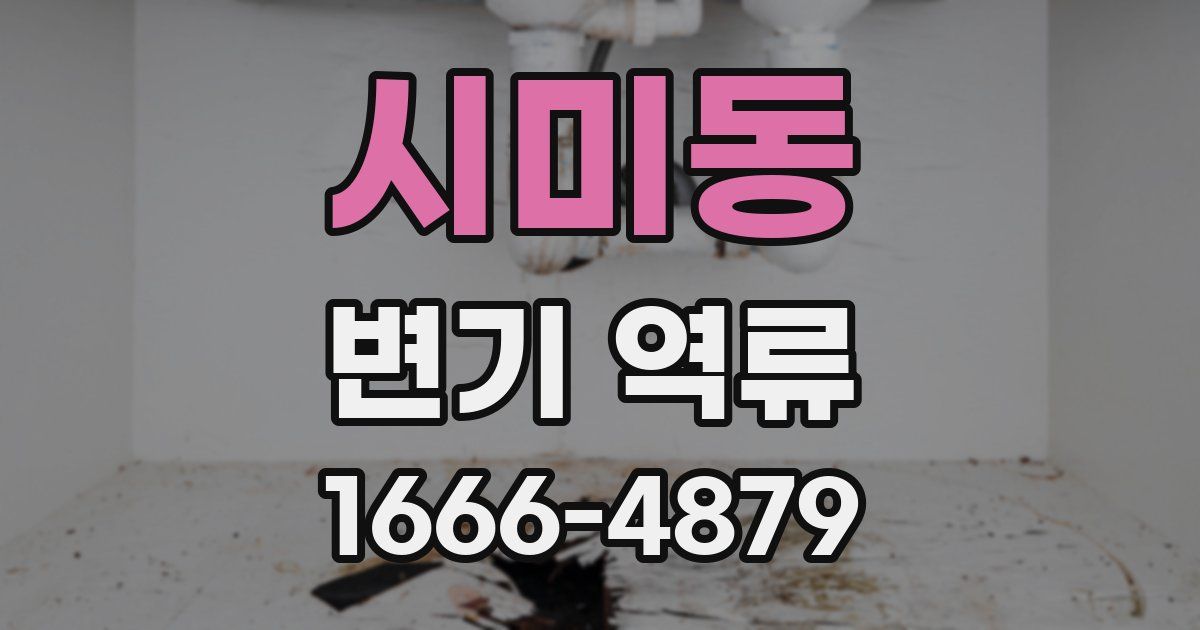 시미동 변기 역류