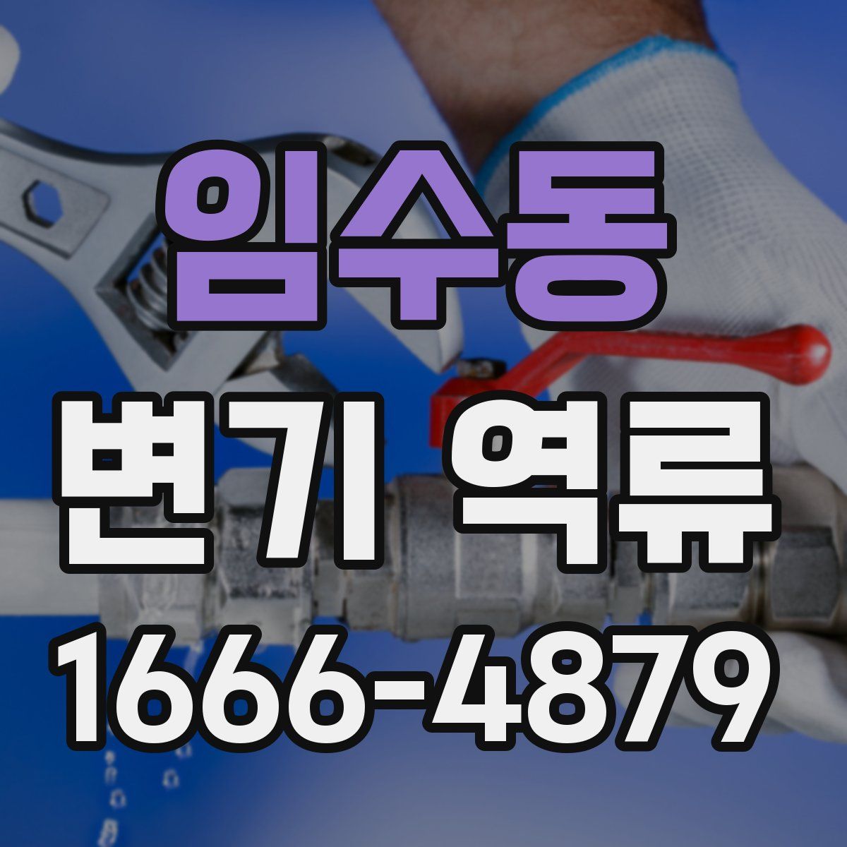 임수동 변기 역류