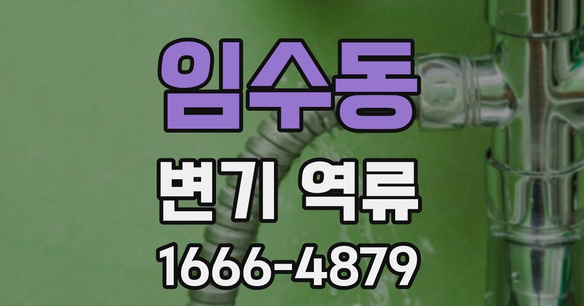 임수동 변기 역류