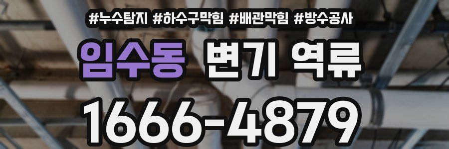 임수동 변기 역류