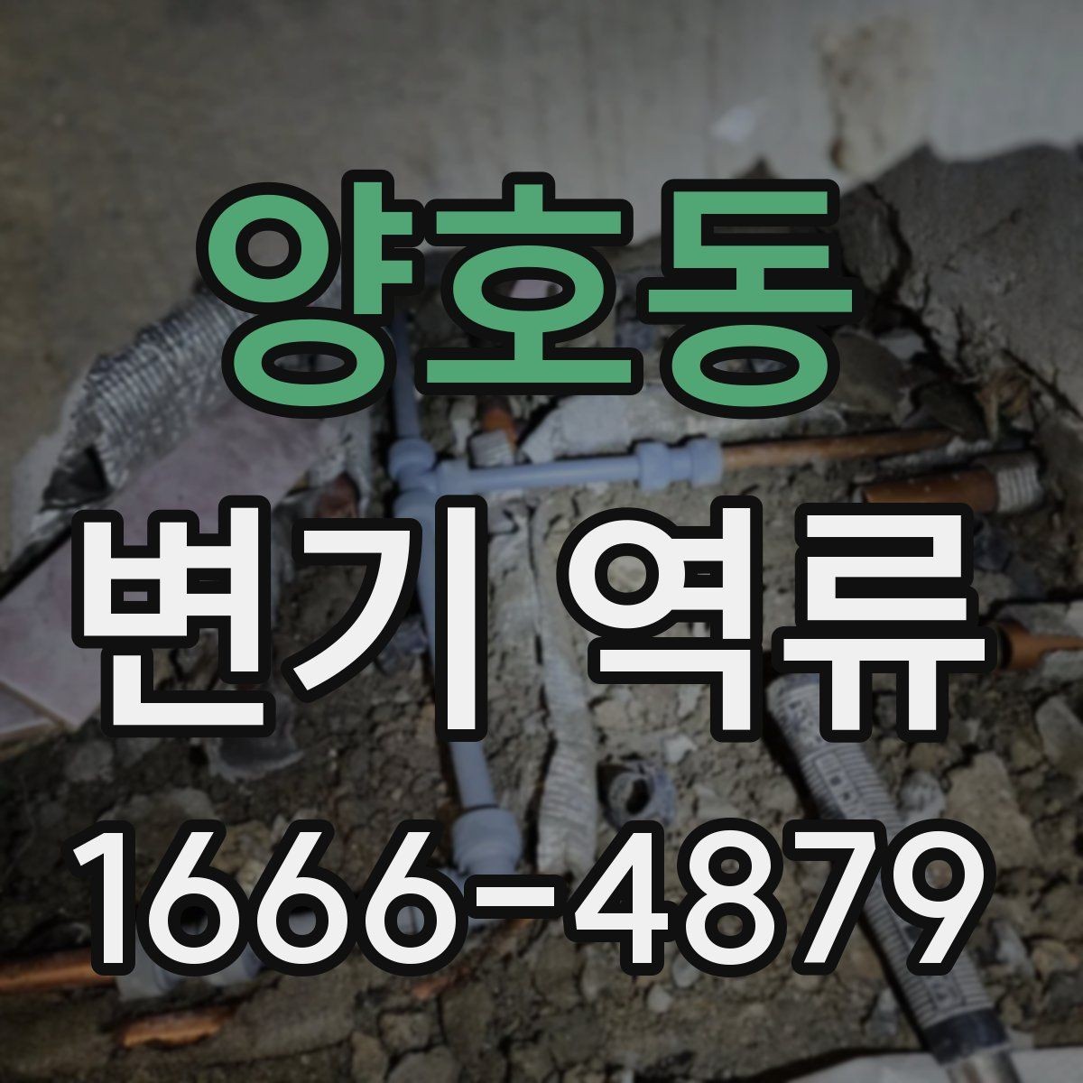 양호동 변기 역류 해결 전 꼭 살펴볼 체크 항목