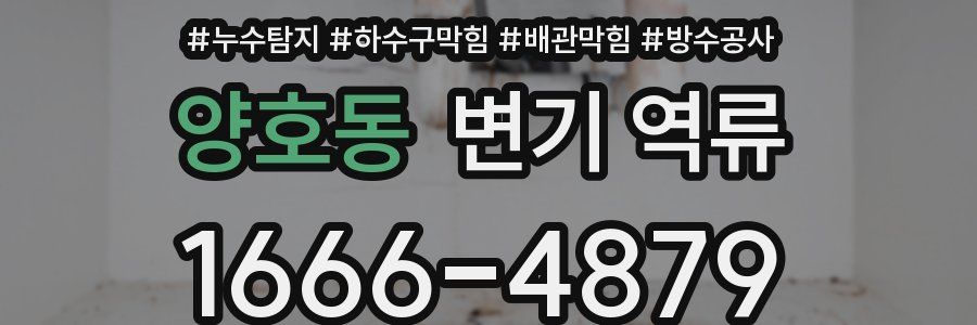 양호동 변기 역류