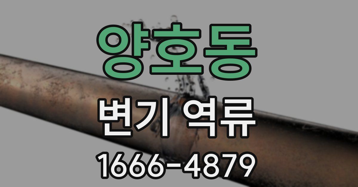 양호동 변기 역류