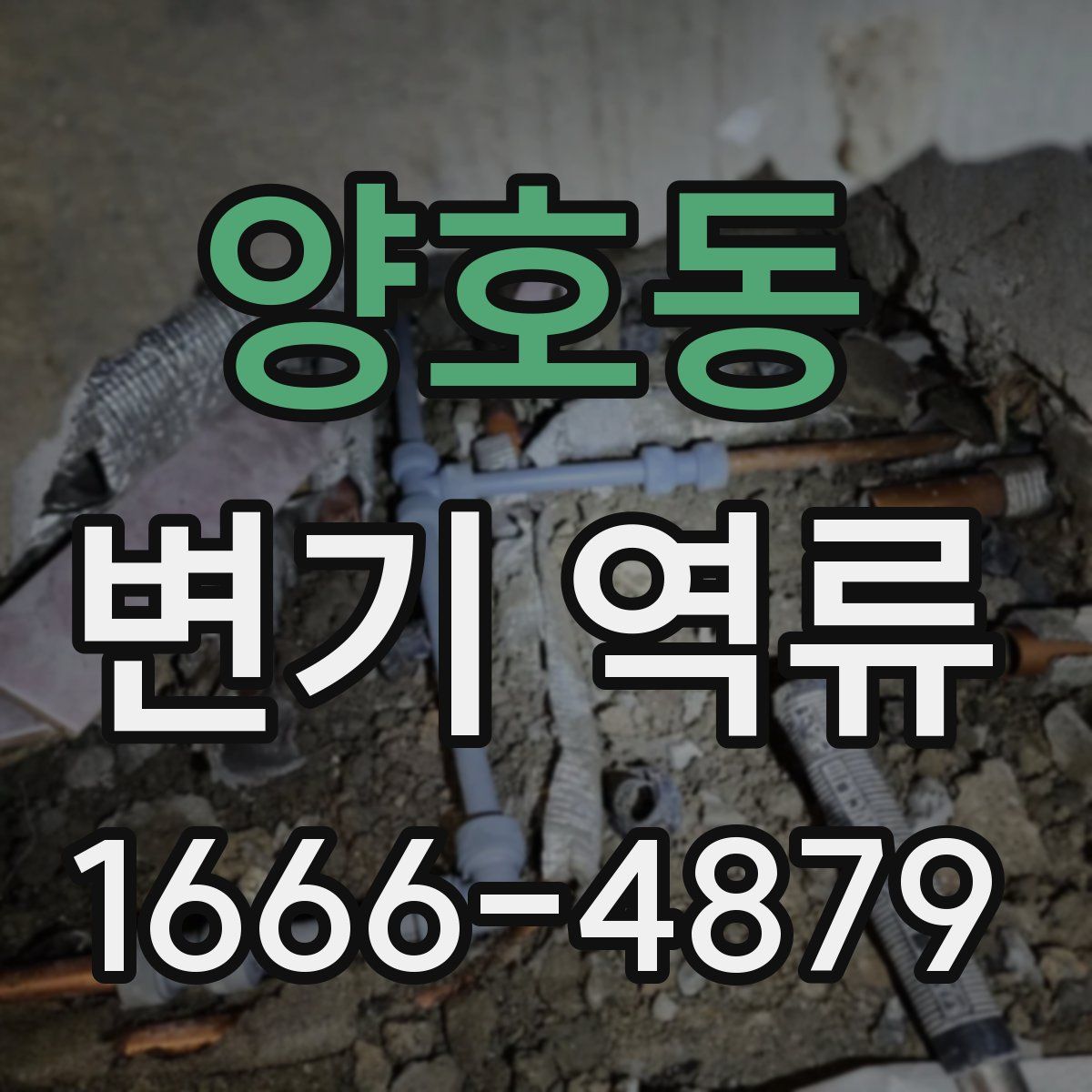 양호동 변기 역류