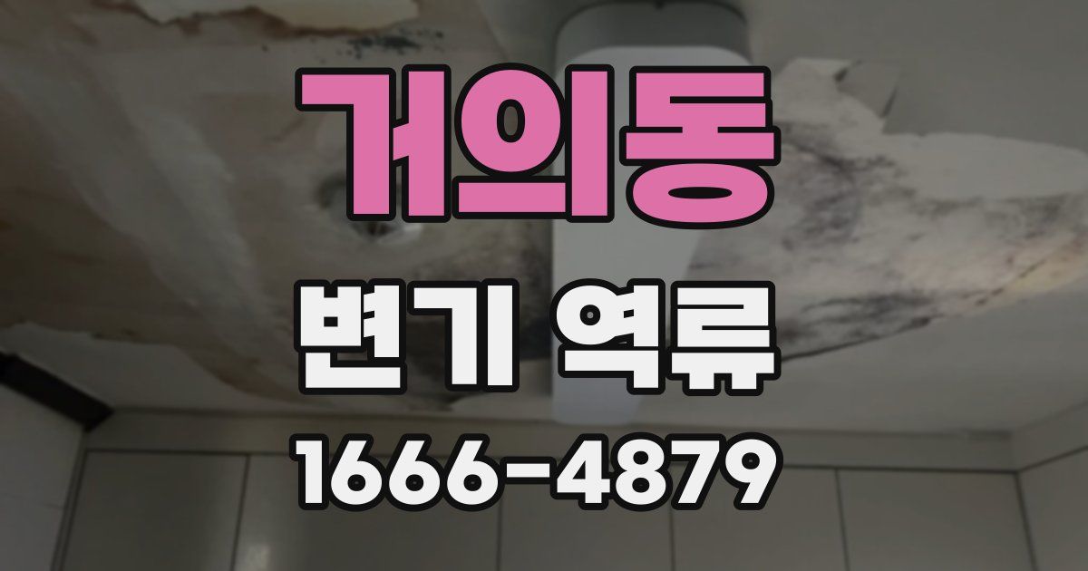 거의동 변기 역류