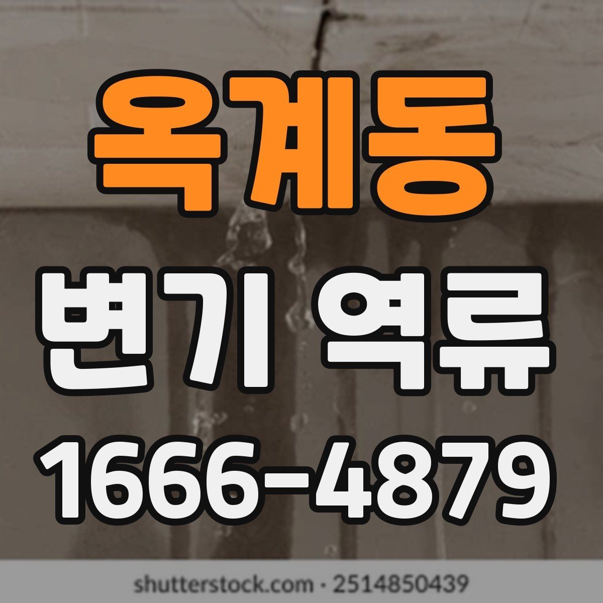 옥계동 변기 역류 배수 문제와 연결되는 경우