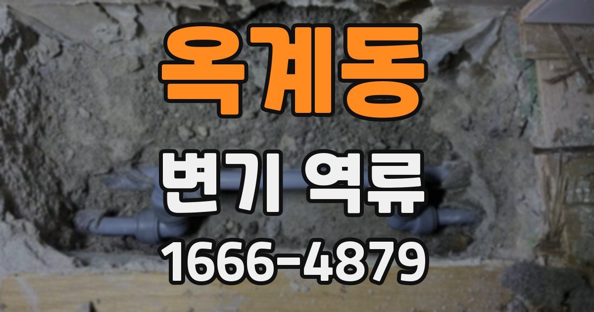옥계동 변기 역류