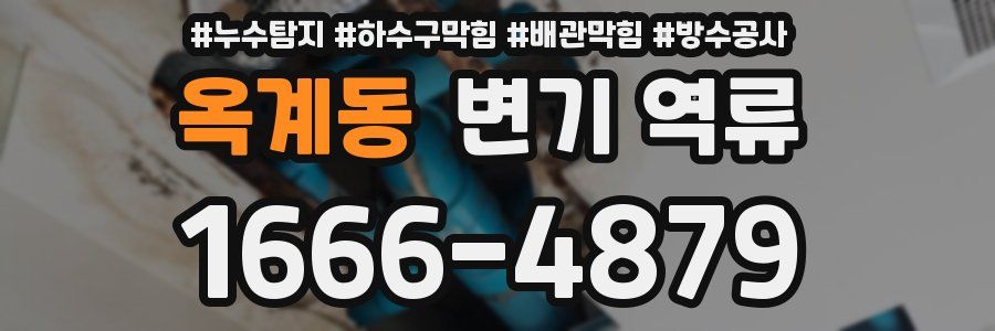 옥계동 변기 역류