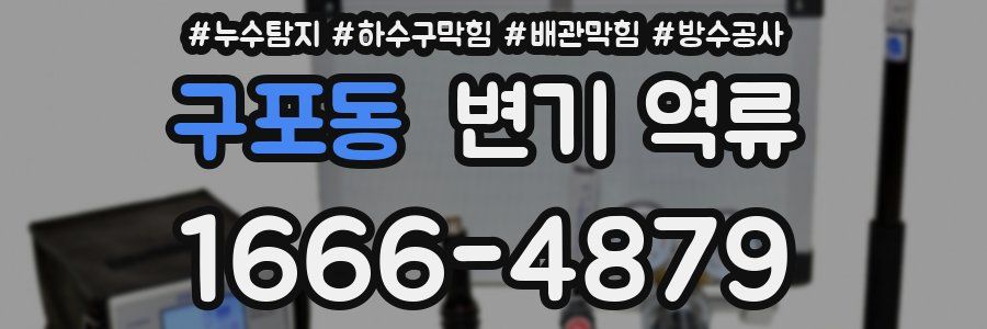 구포동 변기 역류
