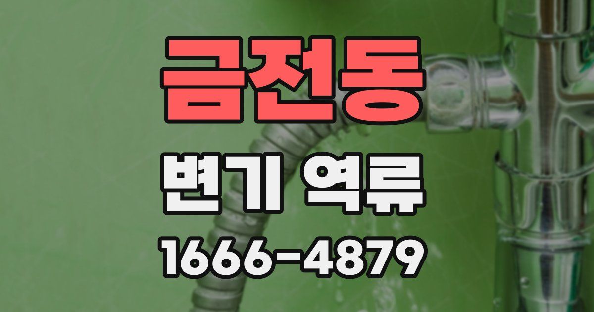 금전동 변기 역류