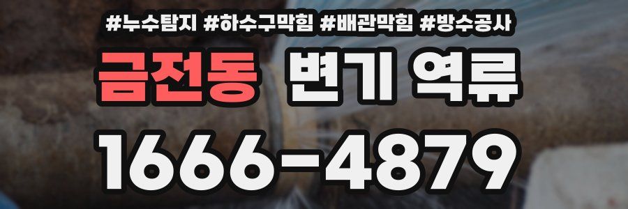 금전동 변기 역류