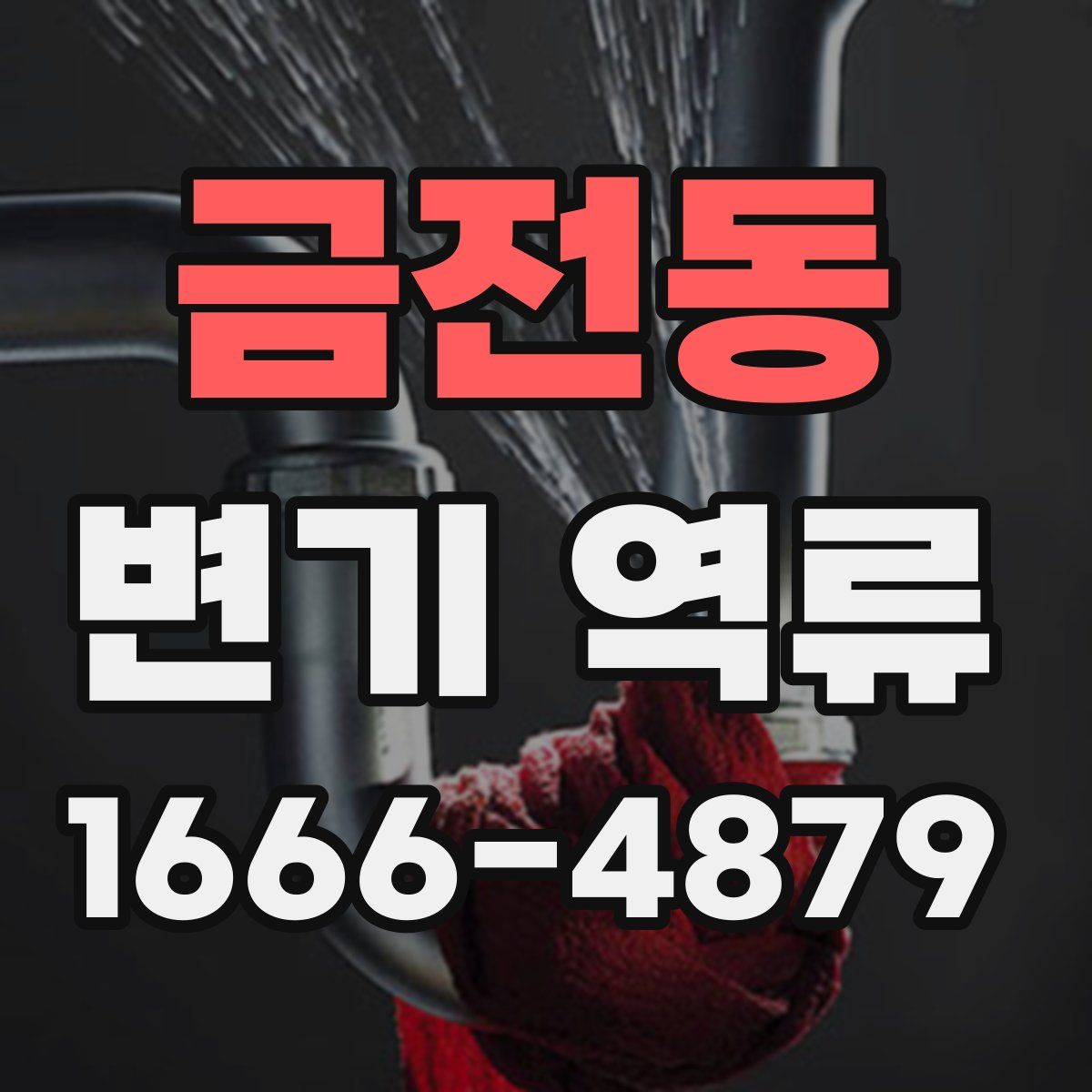 금전동 변기 역류