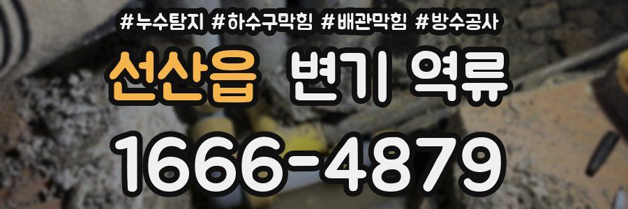 선산읍 변기 역류