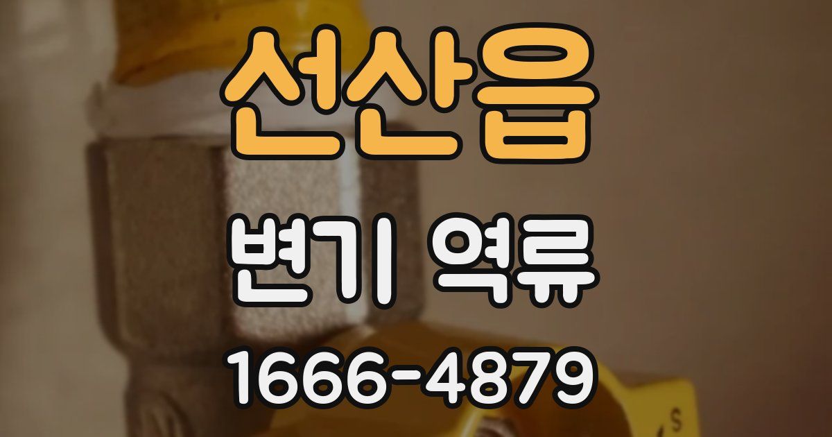 선산읍 변기 역류
