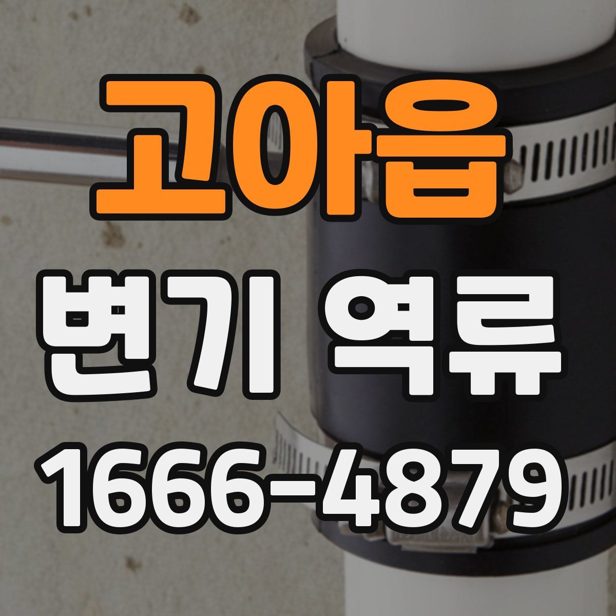 고아읍 변기 역류