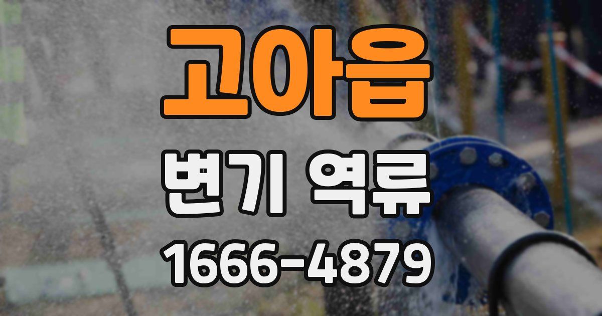 고아읍 변기 역류