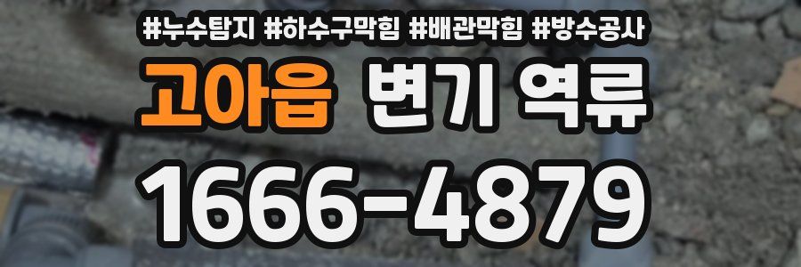 고아읍 변기 역류