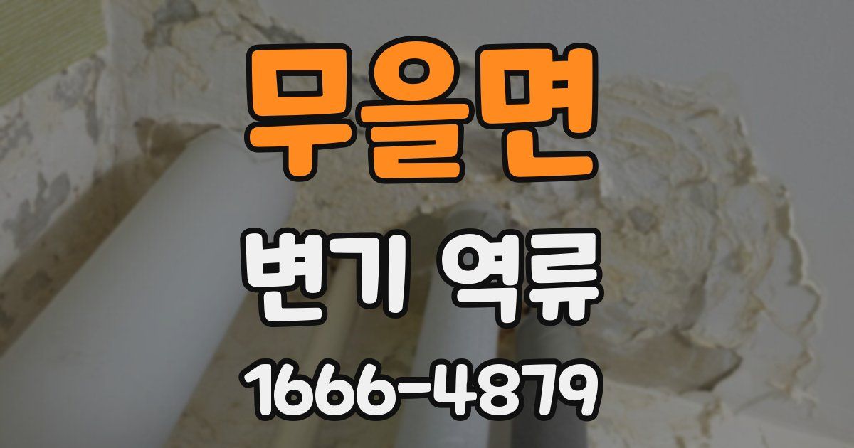무을면 변기 역류