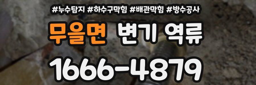 무을면 변기 역류