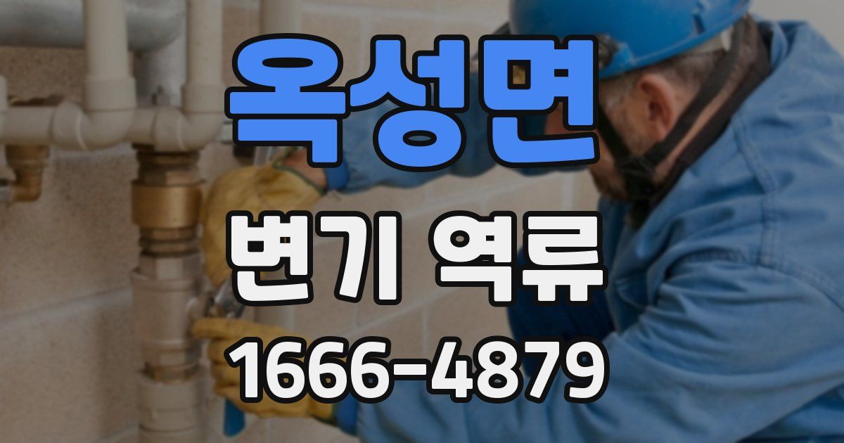 옥성면 변기 역류