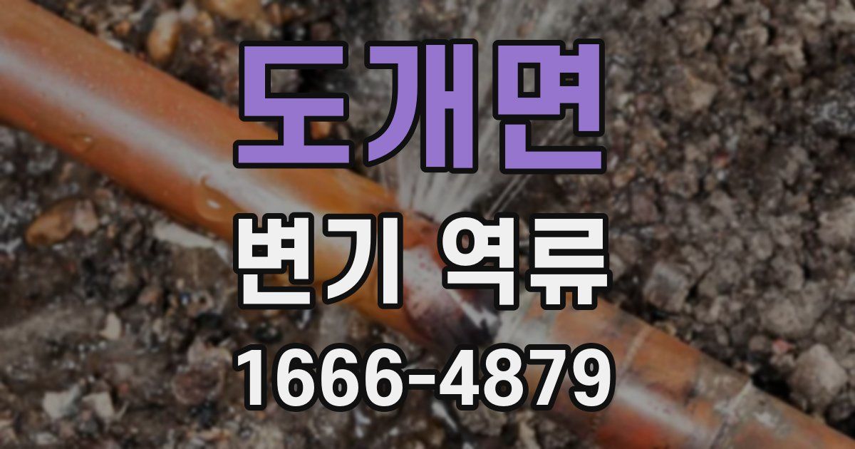 도개면 변기 역류