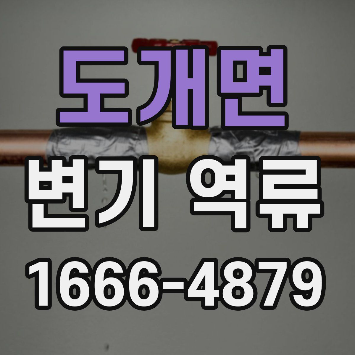도개면 변기 역류
