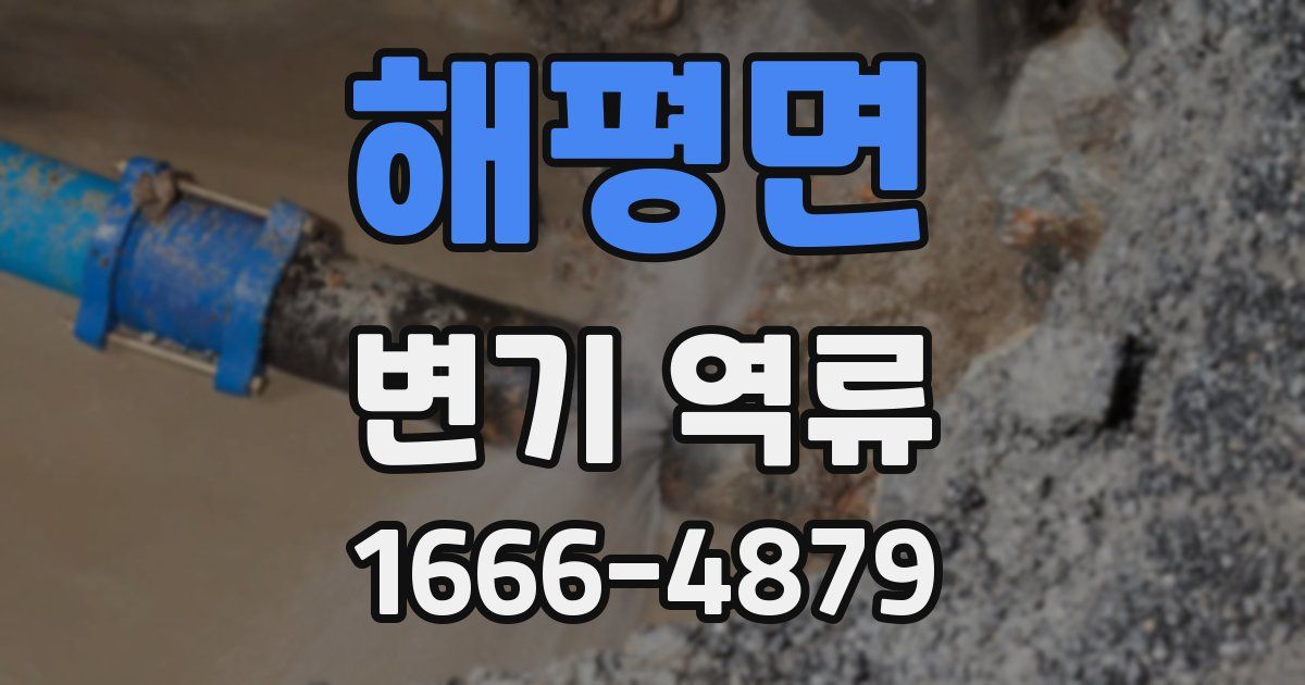해평면 변기 역류