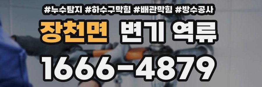 장천면 변기 역류