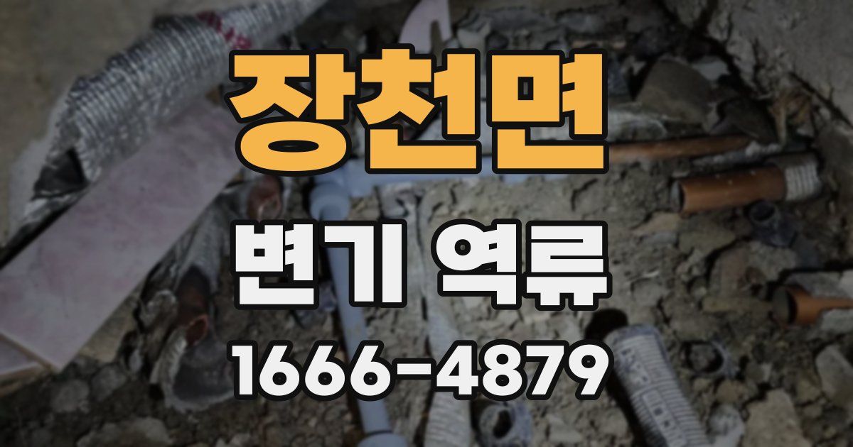 장천면 변기 역류