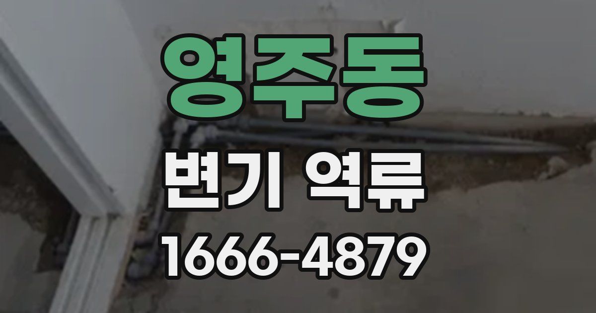 영주동 변기 역류