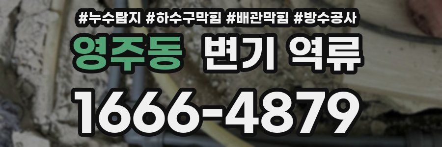 영주동 변기 역류