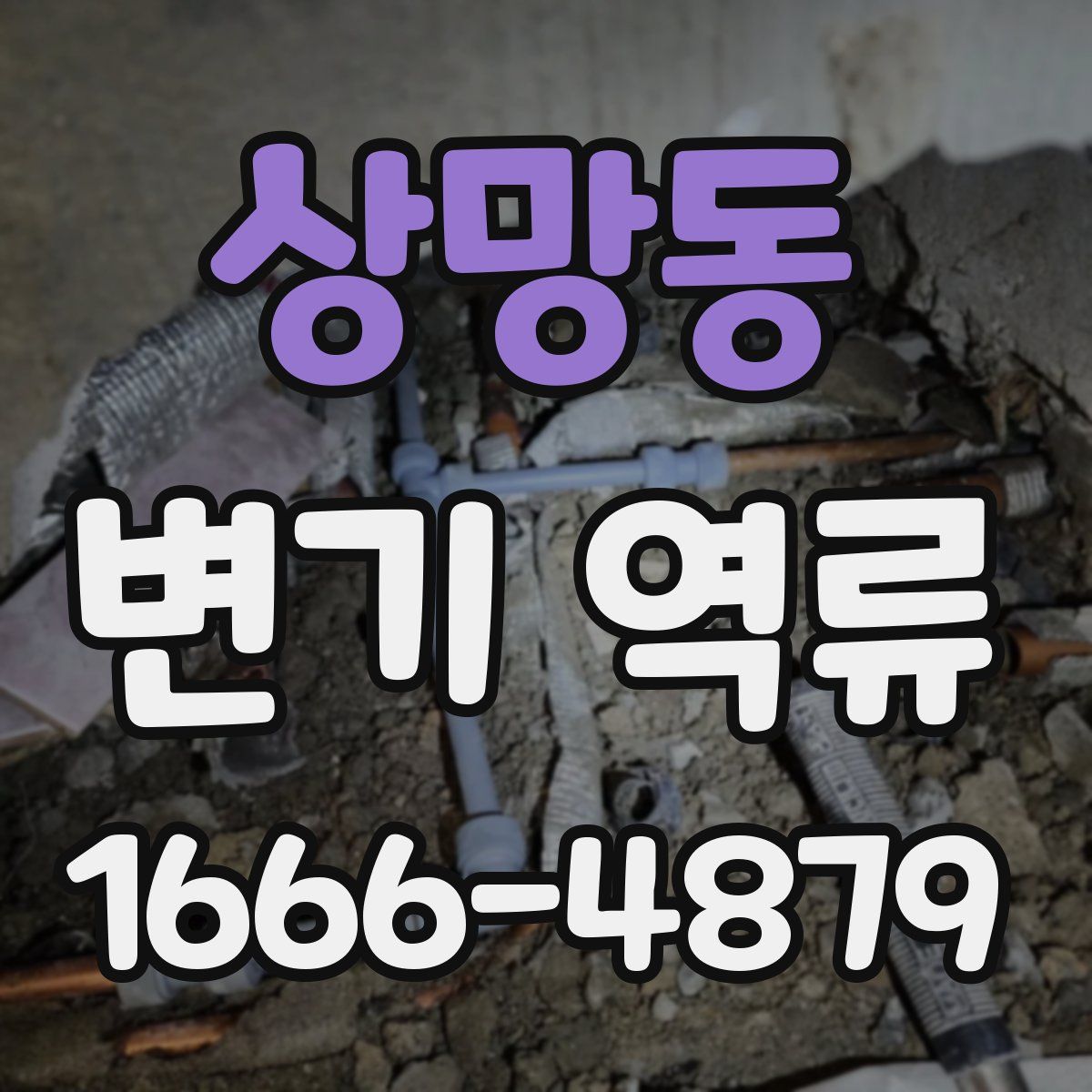 상망동 변기 역류