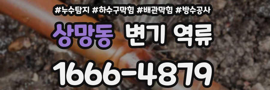 상망동 변기 역류