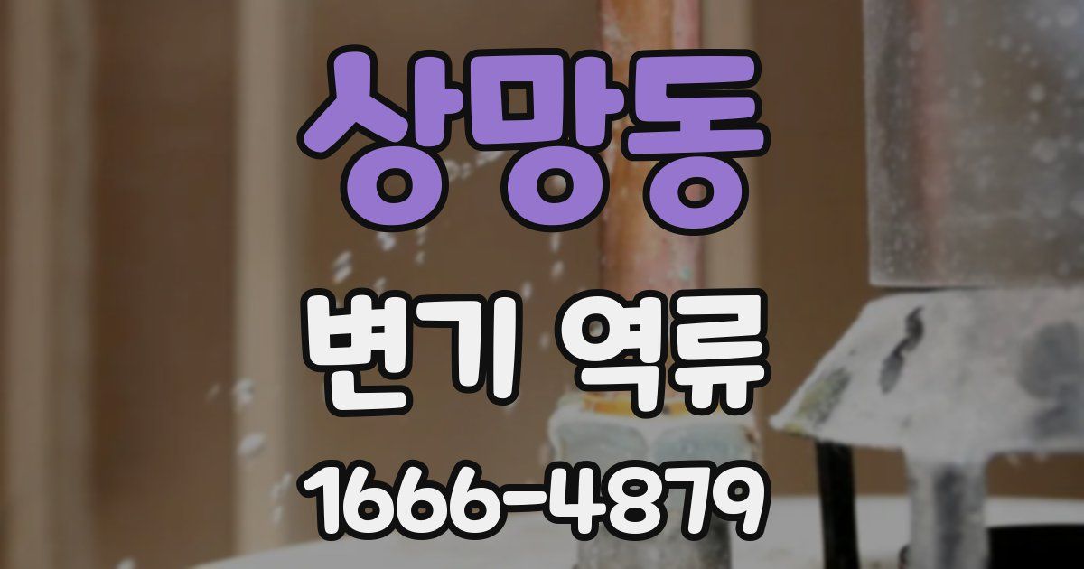 상망동 변기 역류