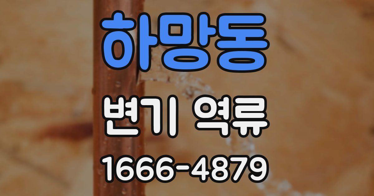 하망동 변기 역류