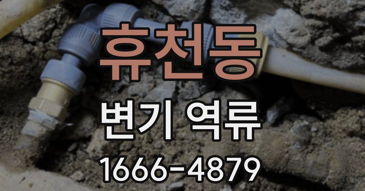 휴천동 변기 역류