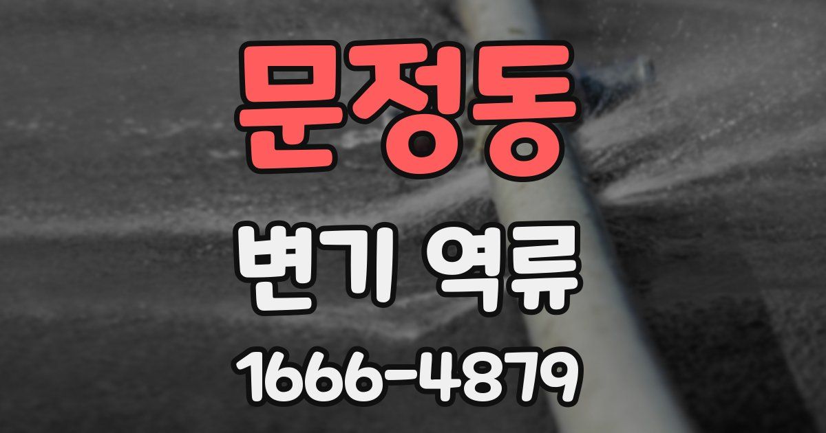 문정동 변기 역류