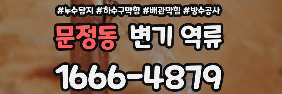 문정동 변기 역류