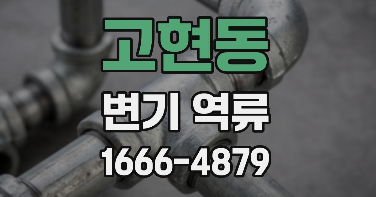 고현동 변기 역류